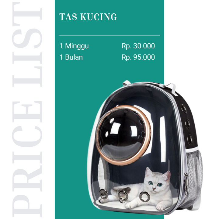 Harga Sewa Tas Kucing di Malang dan Batu