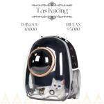 Butuh Sewa Cat Bag & Kandang Kucing di Bali?