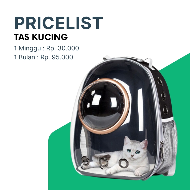 Harga Sewa Cat Bag di Bogor dan Depok
