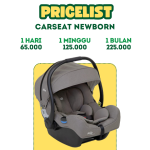 Cari Sewa Carseat Standart & Newborn di Tangerang? Argani Aja