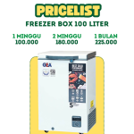Rental dan Sewa Freezer Box di Tangerang