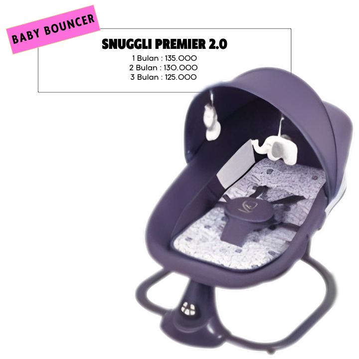 Sewa Baby Bouncer di Bandung